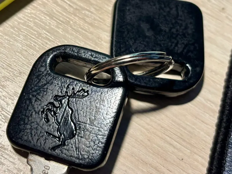 Volvo 70 key Case