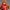 asuka figure evangelion non colour you need to paint it