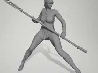 BDO Guardain Class