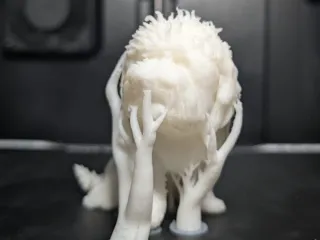 hairy puffball dog