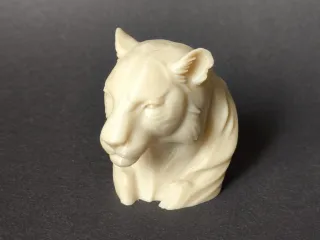 tiger