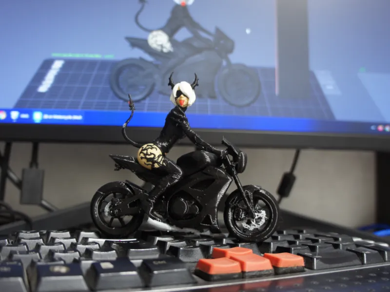 2B on Motorcycle (Multicolor)