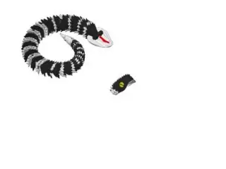 Snake multicolor