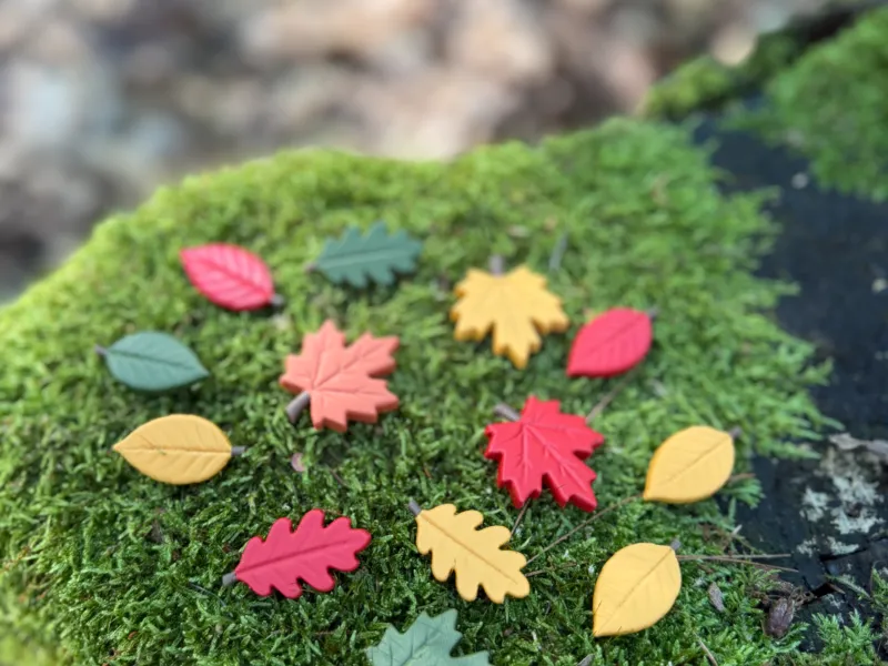 Forest Leaves – Maple, Oak & Beech
