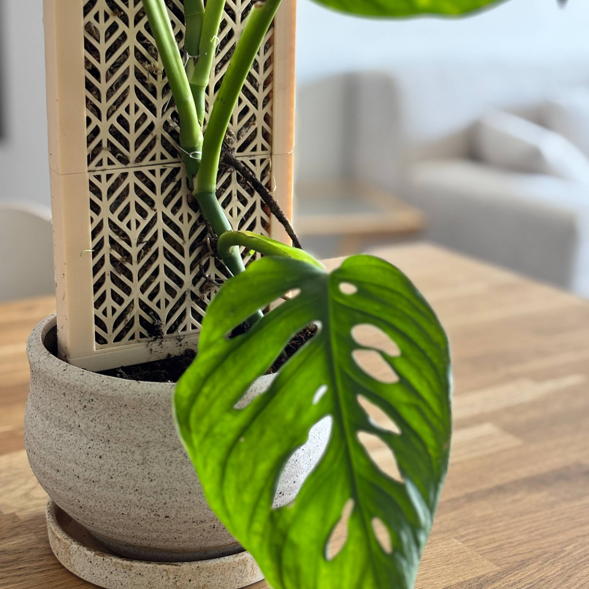 3D Printer Files | 3MF File | CLIMBIT  Modular Self-Watering Moss Pole  System