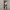 Autumn Park Pathway Bookmark - HueForge Art