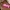 Porta-Chaves Personalizado com Nome – Mary | Keychain 3D