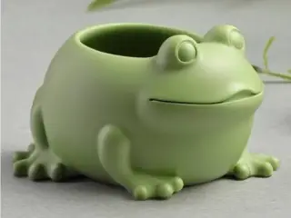 Frog Planter