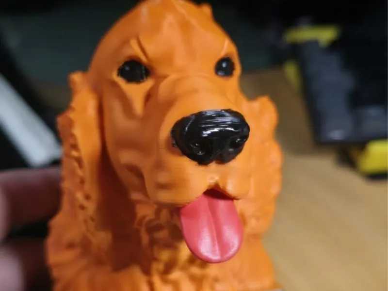 busto cocker