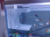 Aquarium Fish Feeder-0