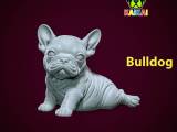 Bulldog model - america bully dog - 3D print-0