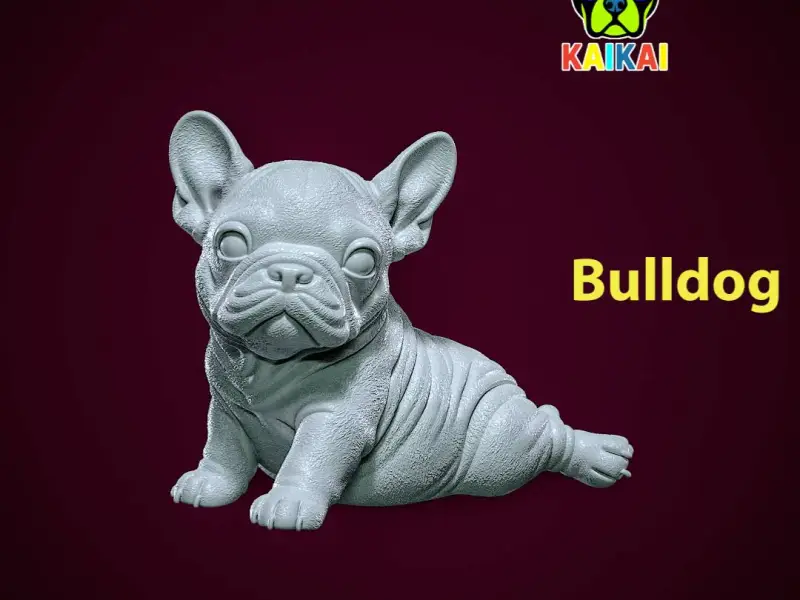 Bulldog model - america bully dog - 3D print