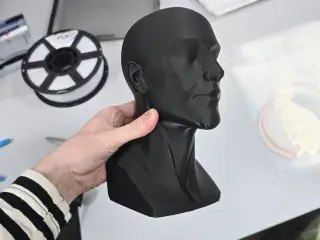 Head model