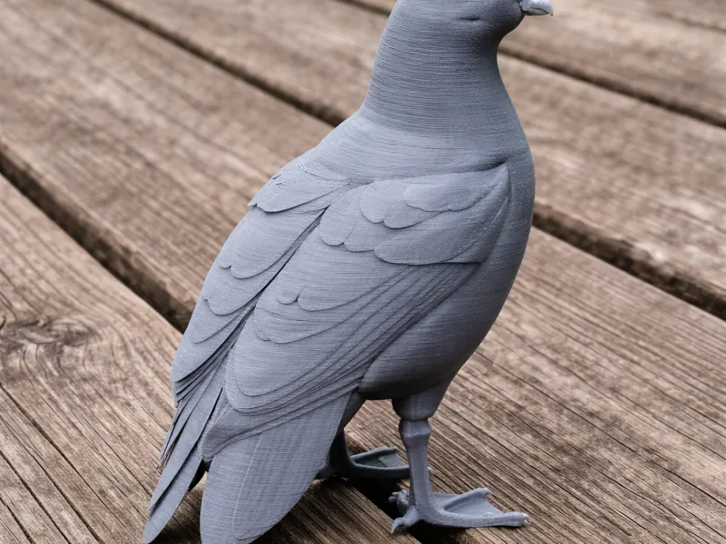 Andean goose
