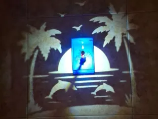 lampara de sombras delfin