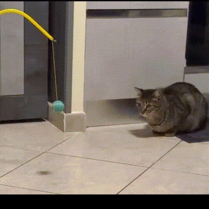 The Feline Apocalypse Pendulum-0