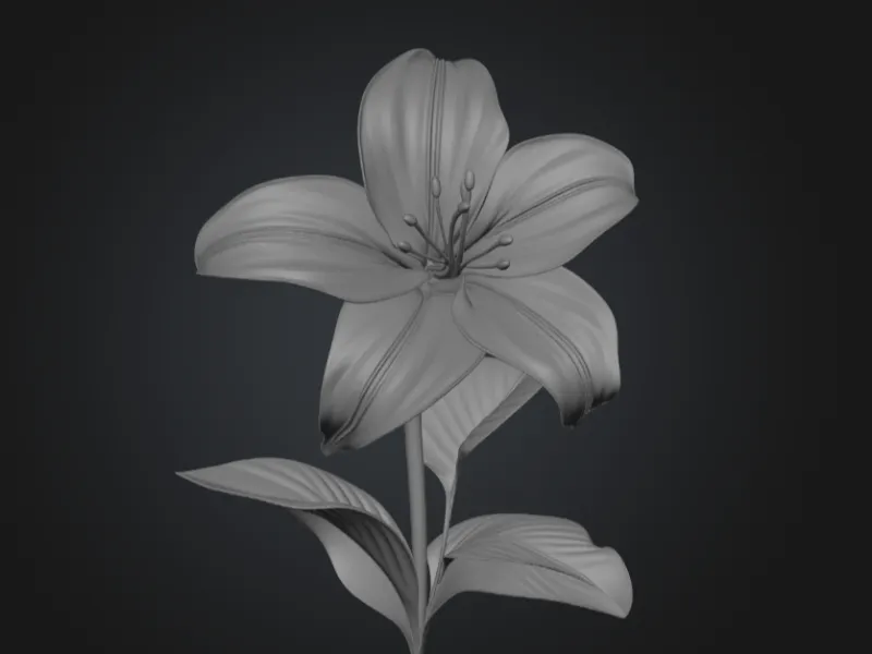 Lily flower
