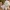 Chibi Baby Dinosaur Figure