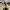 Rick and Morty – Rick Sanchez