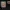 Little Grocer | Dog Food | Expansion