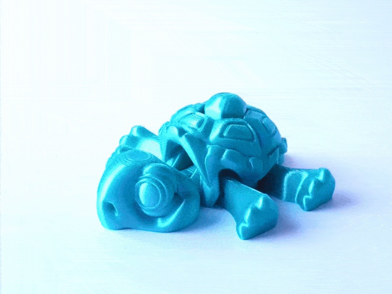 Tortuga Flexi Nice