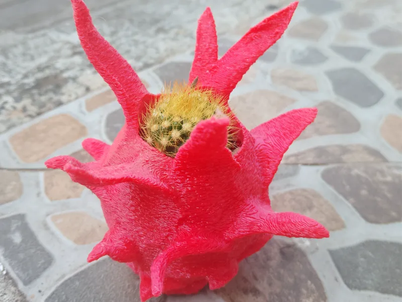 Dragon Fruit-Shaped Succulent Pot with Fuzzy Skin
