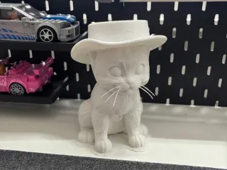 Purrfectly Adorable Baby Cat in Hat 🐱🎩
