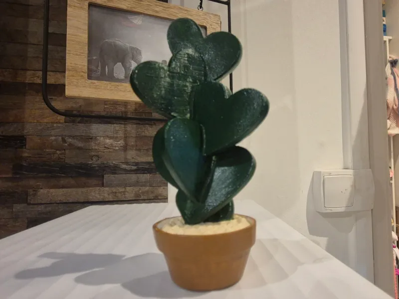 Cactus coeur amour