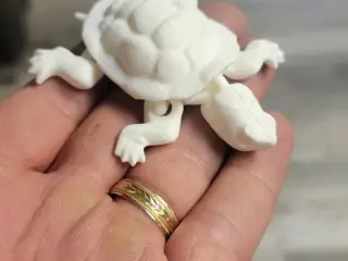 ARTICULATED TURTLE