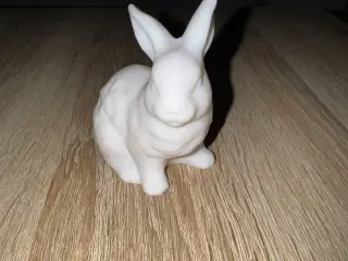 Hase Modell