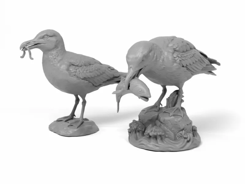 Hunting Gulls