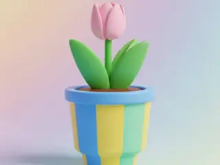 Tulipan