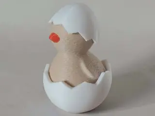 Hatched Chicken