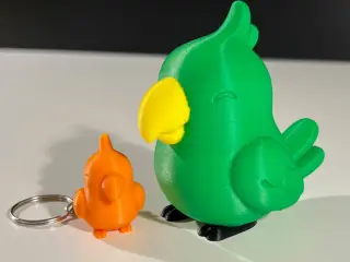 Cute Parrot