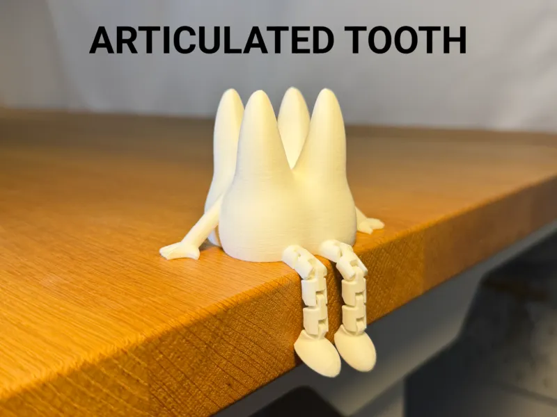 Articulated Tooth Buddy