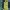 Bloque_portillion