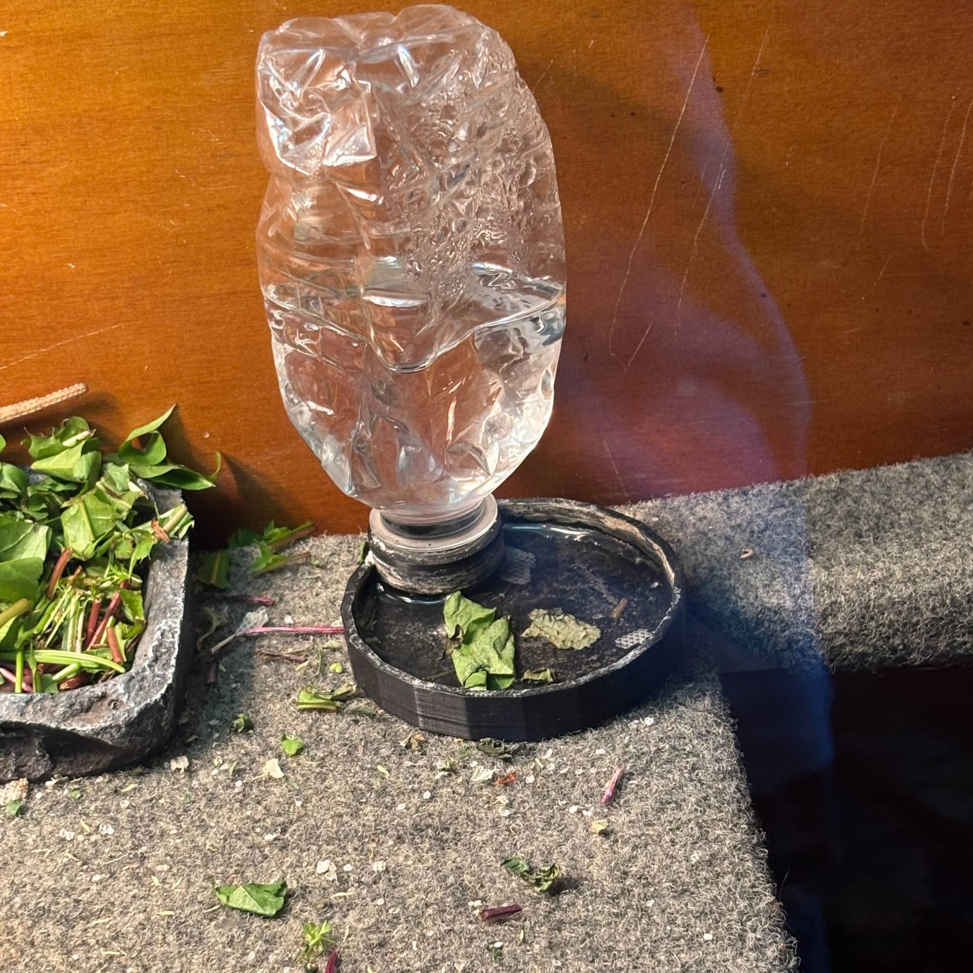 Reptile Refilling dish