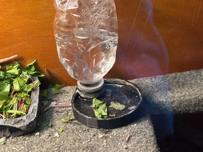 Reptile Refilling dish