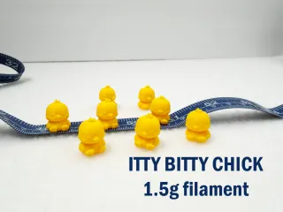 Itty Bitty Chick
