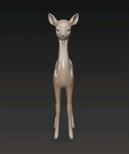 Baby Fawn