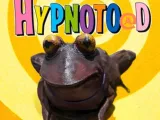 hypnoto@d-0