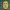 Bobby Hill Anstecknadel