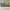 Kerfmaker | Woodworking Dado & Joint Jig