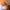 مقبض أمامي لـ Extreme Bull Commander Max