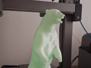 Polar bear standing up