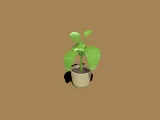 planta-0