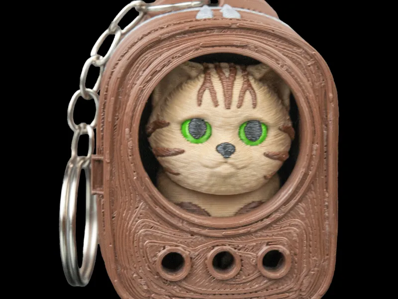 backpack tabby cat