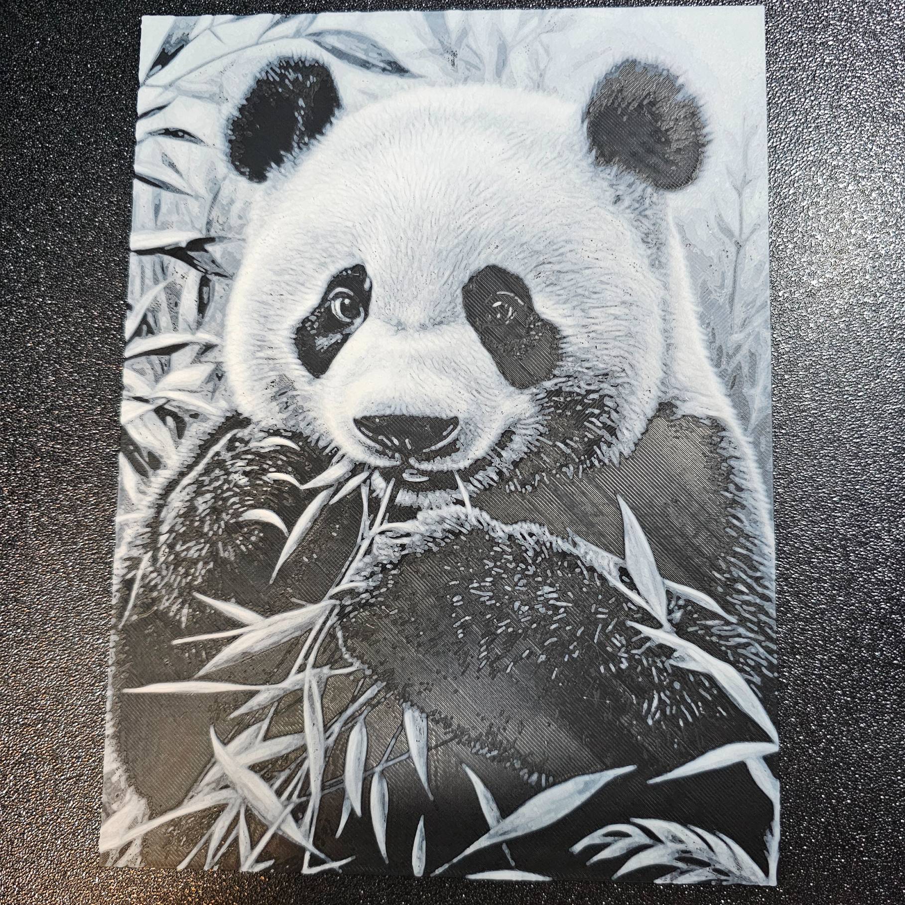 Home print settings: Panda_150x200_K2plus.3mf
