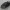 Holden Commodore ZB 2018