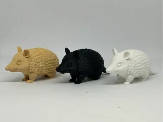 犰狳